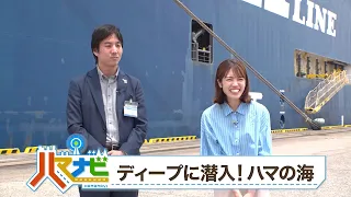 ハマナビ　2026年7月11日放送　ディープに潜入！ハマの海