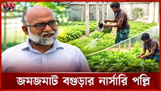 বগুড়ায় মরিচের বাম্পার ফলনের আশা কৃষকদের | Bogura | Chili Farming | Agriculture | Vegetable |Somoy TV