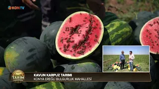 TARIM AKADEMİSİ - BÖLÜM 10 - KAVUN KARPUZ TARIMI - 9 EYLÜL 2026