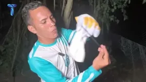 EDUCAZOO - MUESTREO DE MURCIÉLAGO