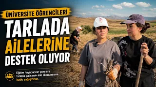 UNIVERSITY STUDENTS SUPPORT THEIR FAMILIES IN THE FIELDS @Kanal33mersin