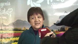 CAMINATA ENTRE  LENGAS Y NIEVE: LA PROPUESTA DE SIERRA COLORADA PARA ESTE FIN DE SEMANA