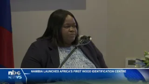 NAMIBIA FIRST IN AFRICA TO HOST WOOD IDENTIFICATION - nbc