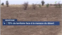 Mauritanie : la transformation des systèmes alimentaires pour faire face aux sécheresses