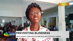 Preventing Blindness: Health experts urge public to seek early eye care when needed - Evening News