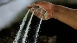 Colômbia apreende 7,6 toneladas de cocaína para os Países Baixos no porto de Cartagena