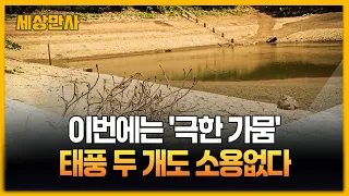 이번에는 '극한 가뭄'…태풍 두 개도 소용없다 [세상만사] #극한가뭄 #태풍 #날씨