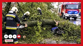 Halálos áldozatot követelt a szerda esti vihar: rádőlt a fa egy fiatal fiúra