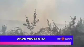 Arde vegetația