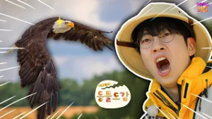 밥 먹으러 3,000km를 날아오는 독수리?ㅣ독수리 식당ㅣ에그박사의 동물 도감ㅣKBS 260224방송