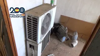 Desmanteladas tres plantaciones 'indoor' de marihuana en Murcia | La 7