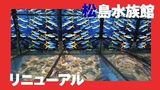 越前松島水族館「海洋館」リニューアル　LEDビジョン設置で没入感アップ