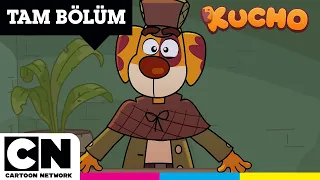 Fil Hakika 🐘 | KUCHO | TAM BÖLÜM | @cartoonnetworkturkiye