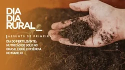 Fertilizer Day: Soil nutrition in Brazil requires management efficiency