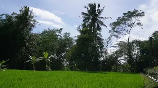 3 Nasehat UAS