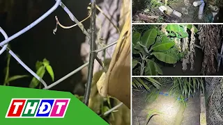 2 brothers die in coconut grove, suspected electrocution | THDT