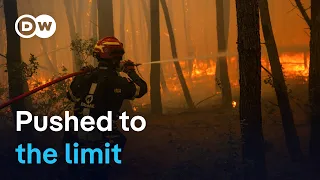 Greek firefighters struggle to save coastal resort | DW News