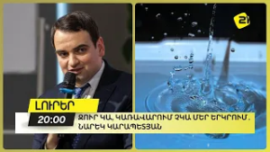Ջուր կա, կառավարում չկա մեր երկրում․ Նարեկ Կարապետյան