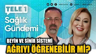Can the brain and nervous system learn pain? Prof. Dr. Serbülent Gökhan Beyaz explains