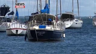 Government Sees Positive Results From Sail Clear Rollout