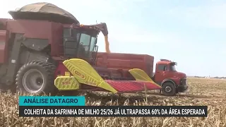 Datagro: 2025/2026 safrinha corn harvest exceeds 60% of Brazil's total area