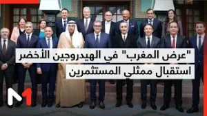 أخنوش يستقبل ممثلي المستثمرين الذين تم انتقاؤهم في "عرض المغرب" في مجال الهيدروجين الأخضر