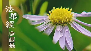 【靜思妙蓮華】法華經方便品第二 - 反歸自性 - 第219集｜共修版