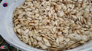 Hasib se godinama bavi prodajom košpi od bundeve: Sa pet dunuma ubere oko 400 kilograma