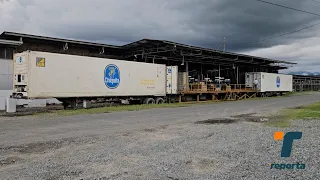Chiquita resumes banana exports