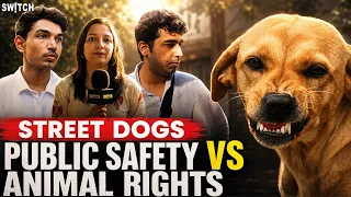 Public Reaction on Street Dogs: Dogs Ko Khana Do, Par Safety Bhi Chahiye! Safety vs Animal Rights