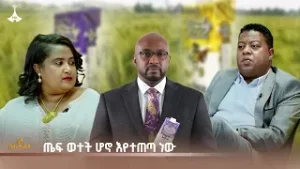 ጤፍ ወተት ሆኖ እየተጠጣ ነው | HELOO ETHIOPA | EHUDBET | TEFF