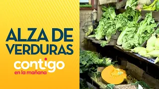 "MILLIONAIRE STEW": Surge in vegetable prices in Chile due to bad weather - Contigo en la Mañana