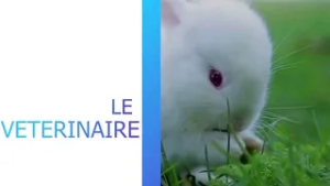 LE VETERINAIRE DU 30 JANVIER 2026