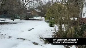 BP13 kerületi magazin 2026 02 02