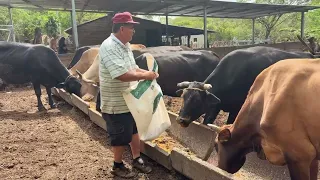 FT CATTLE RANCHERS BUY ANIMAL FEED FOR CHEAPER