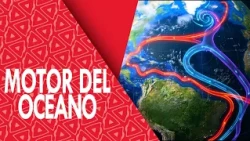 AMOC | The Ocean Conveyor Belt That Regulates Our Climate | Cosmopedia