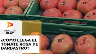How does Barbastro pink tomato reach the Mercadona produce section?
