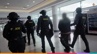👮🏻‍♂️ VE SLUŽBĚ: JMÉNEM ZÁKONA | Nové díly sledujte už teď prima+ 🚔