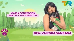 PULSO ANIMAL | VIAJE A CONCEPCION “JINETES Y SUS CABALLOS”