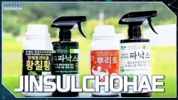 [SMARTBIZ ACCELERATORS] Creating added values for the agricultural sector, JINSULCHOHAE (진설초해)
