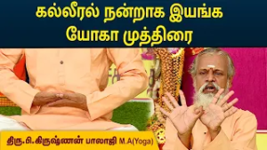 கல்லீரல் நன்றாக இயங்க யோகா முத்திரை | Krishnan Balaji | MEGA TV