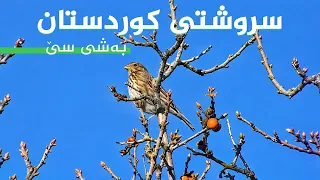 سروشتی کوردستان - بەشی (3)