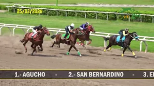 EXAMENES DEL PARTIDOR - 25FEBRERO