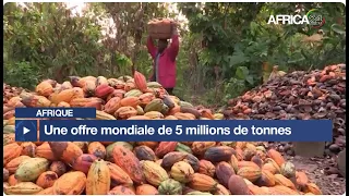 Afrique - Cacao : une offre mondiale de 5 millions de tonnes