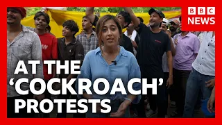 How the India 'cockroach' protests went from meme to movement | BBC News