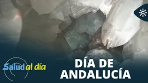 Salud al día | Planes para celebrar el Día de Andalucía sin salir de nuestra tierra