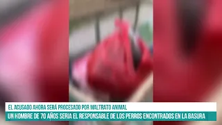 SALTA - Un hombre de 70 años seria el responsable de perros encontrados en la basura #canal7salta