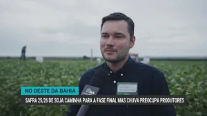 Safra 25/26 de soja caminha para a fase final, mas chuva preocupa produtores da BA