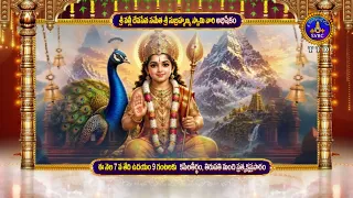 Promo || శ్రీ వల్లీ దేవసేన సమేత శ్రీ సుబ్రహ్మణ్య స్వామి వారి అభిషేకం||కపిలతీర్థం||తిరుపతి|| SVBC TTD