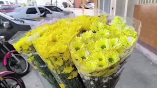 TAM NEWS 09/22/2026